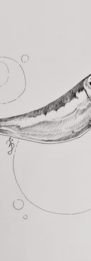 fish inktober 2020