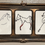 Thumbnail: Horses