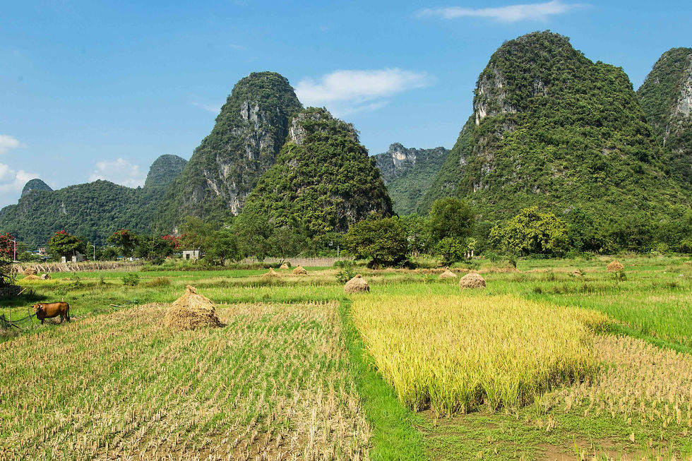 Yangshuo Countryside