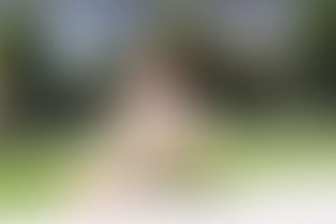 顛覆美國傳統「信用評級」機制