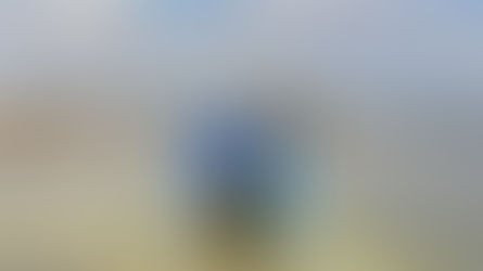 全球首個元宇宙國家