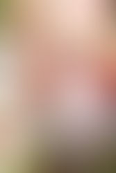 揉合400年智慧 中國美妝品牌有商機