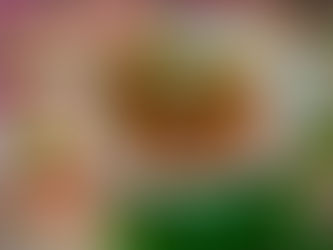 BIRRIA DE RES ESTILO JALISCO