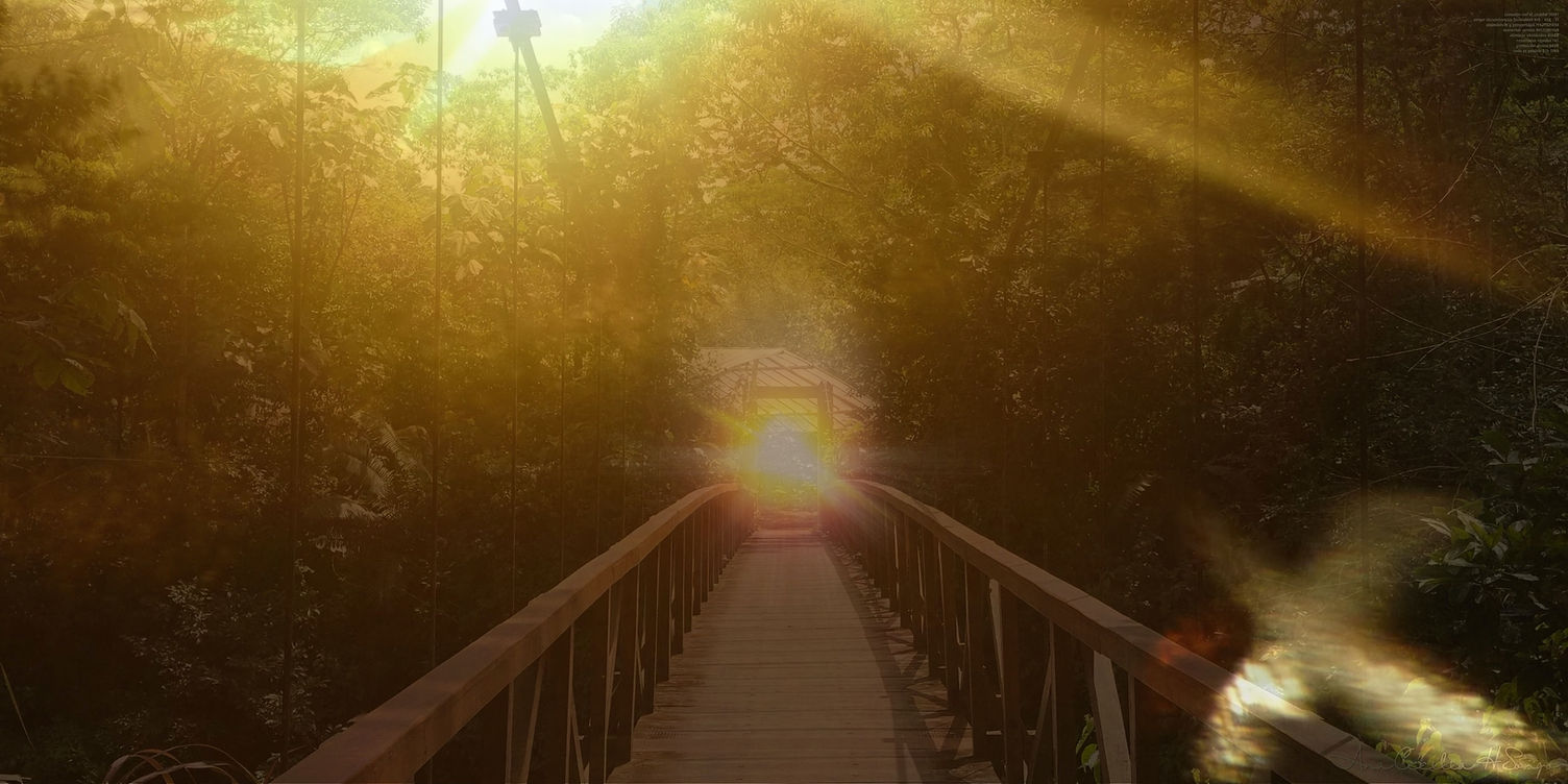 Banner Bridge to you for our website_edited.jpg