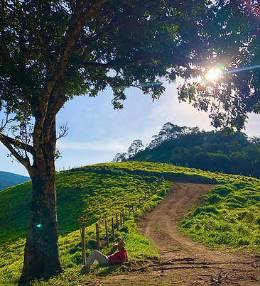 Slow-Paced Retreats and Unique Journeys for 1 or 2. the song of the heart to self in new earth Nature Immersions