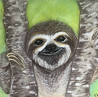 Mettie, the Sloth