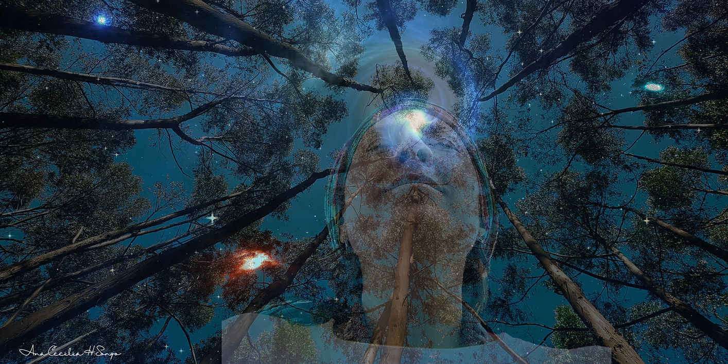 The magic of nature - relatedness 2.jpg