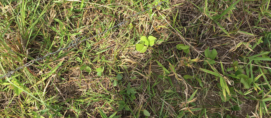 Relational Rhythms a world beyond Expectations, Identity, and Stereotypes