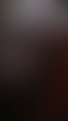 Cluthbag Bridle Brown