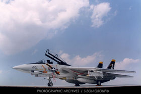 Syoichi Tanaka F -14 Tomcat | ソリッドモデル ミュージアム