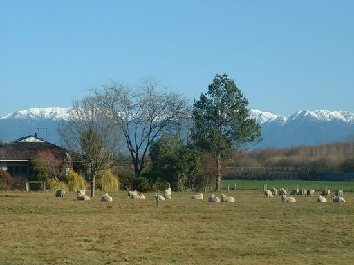 Charity Norman's country home in New Zealand