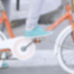 MMN - Welcome Meeting & Driving, Biking & Public Transportation in the NL