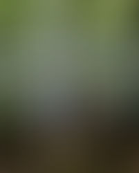 J’ai longuement hésité à partager ce témoignage