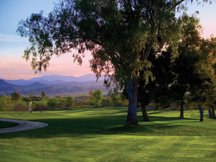 Rancho de los Caballeros. The Ultimate Tee to Trot Experience in Arizona.