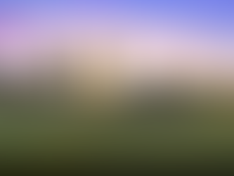 Chambers Creek checks all the boxes for a great modern 55-plus community.