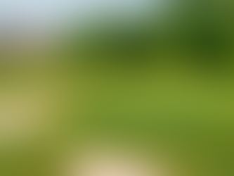 Tamahka Trails: A Hidden Gem in Louisiana's Golfing Landscape