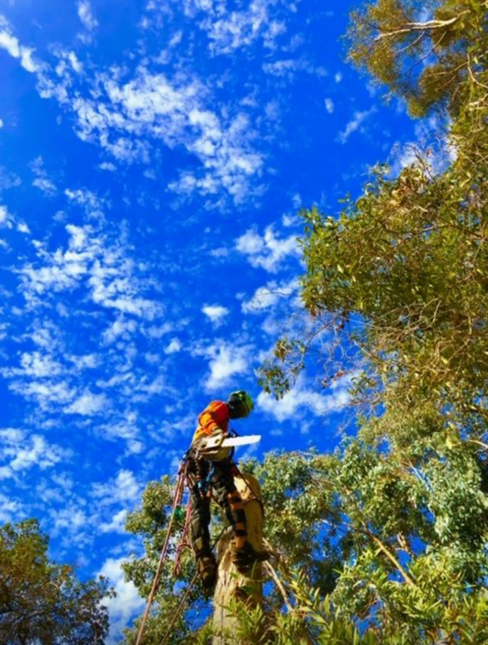 Screenshot 2026-04-08 at 12.23.15 PM.PNG