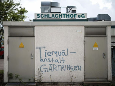 Landratsamt feuert Tierärzte.