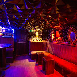The Penguin Room