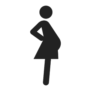 Les Allocations Prenatales De La Femme Enceinte