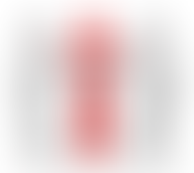 LES STRUCTURES DE RÈGLEMENT DES LITIGES A L'AMIABLE