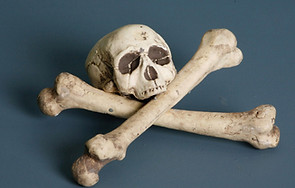 Skull and Crossbones