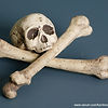 Skull and Crossbones 