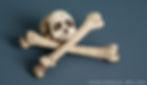 Skull and Crossbones 