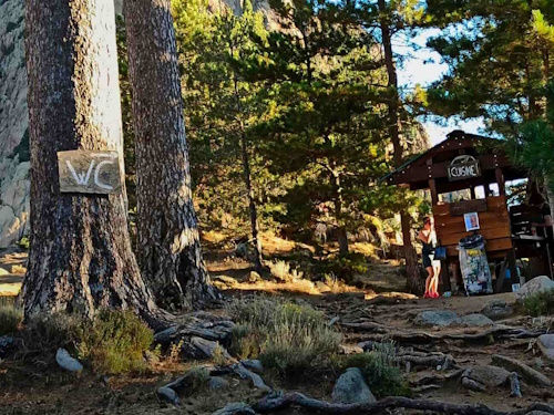 foret refuge montagne