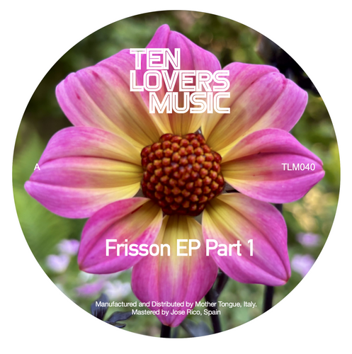 TAS List 英RCA VICS1108　ビゼー 組曲「カルメン」　ギブソン V.A. / Frisson Ep Part 1 | Especial Records
