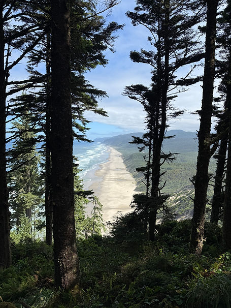 View of the Oregon Coast through a forest from a hiking trail near Florence, Oregon