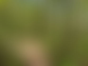 Dragon's Tooth: Less Walking, More Scrambling, Killer Views!