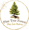 Pine Tree Forest Step Into History