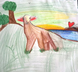 drawing_sheep2 copy