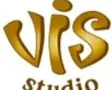 VIS-logo-colour.webp