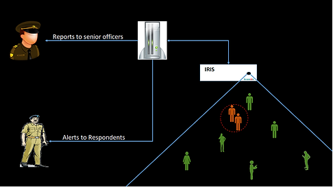 IRIS image.png