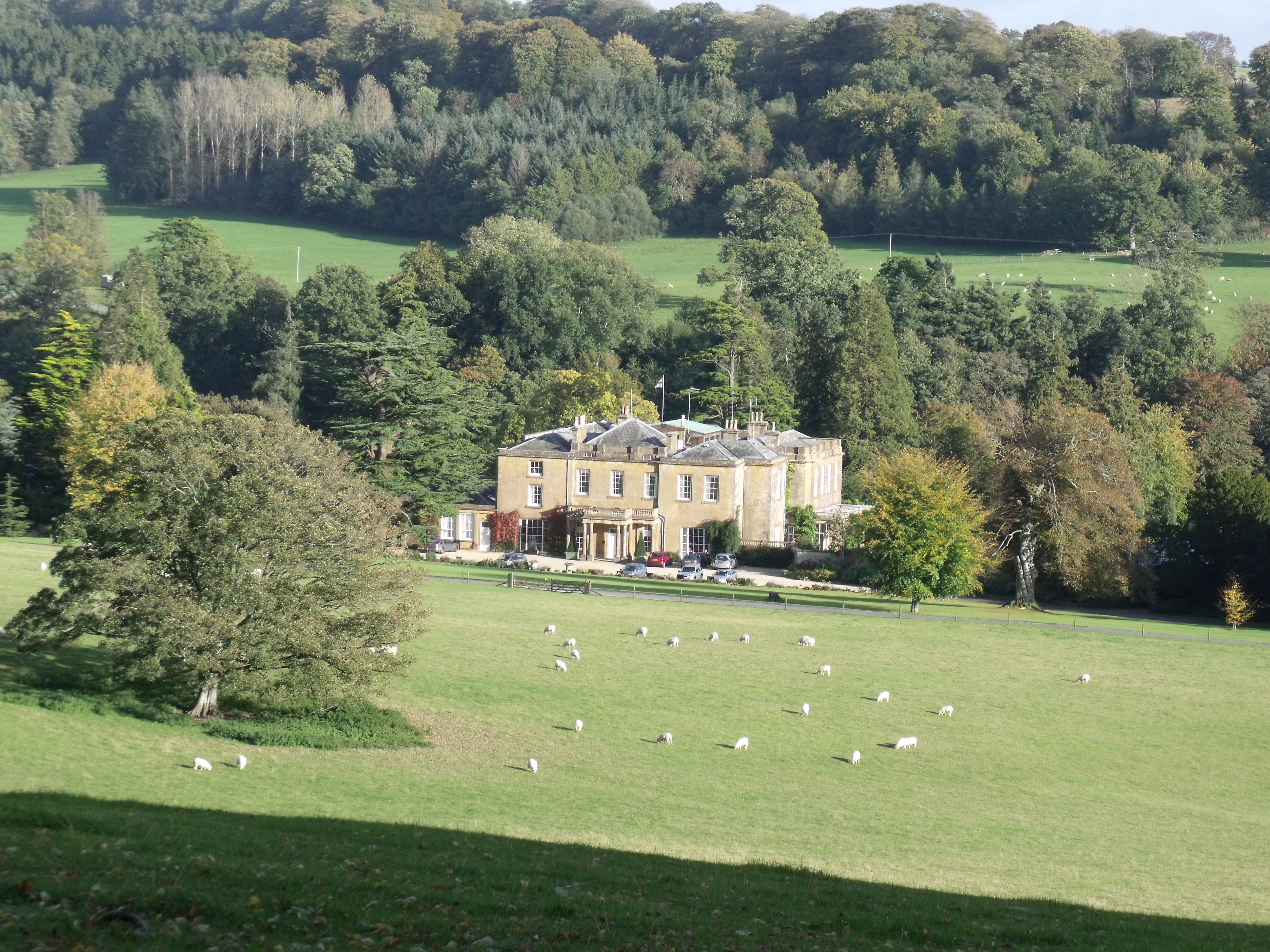 Home cricketstthomas