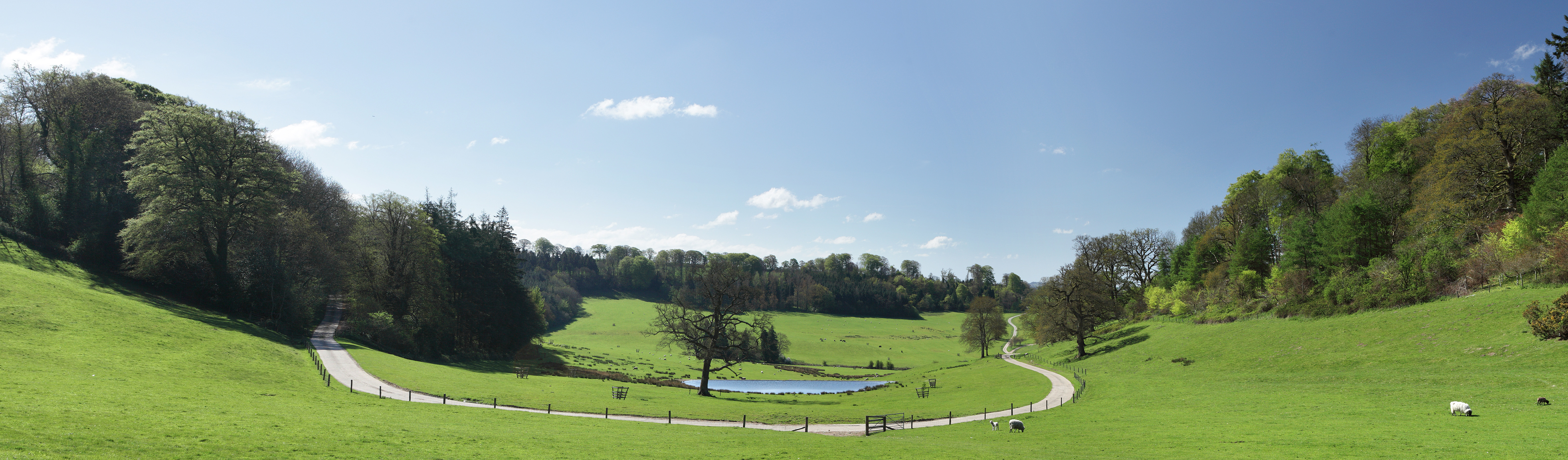 Home cricketstthomas