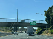 IMG_5892_edited.jpg