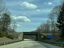 IMG_0235_edited.jpg