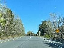 IMG_7172_edited.jpg
