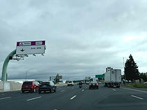 IMG_4806_edited.jpg
