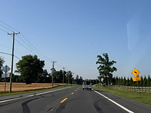 IMG_8271_edited.jpg