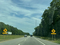 IMG_1317_edited.jpg