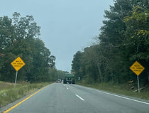 IMG_9275_edited.jpg