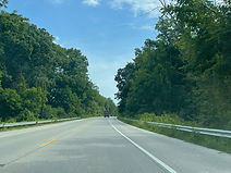 IMG_7052_edited.jpg