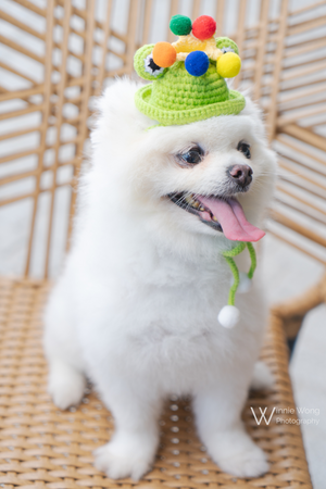 4835CCCB-17CB-4529-A76E-FC60B8299C66.PNG