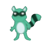 racoon-01