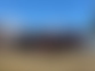 Team-building with Plaid Day