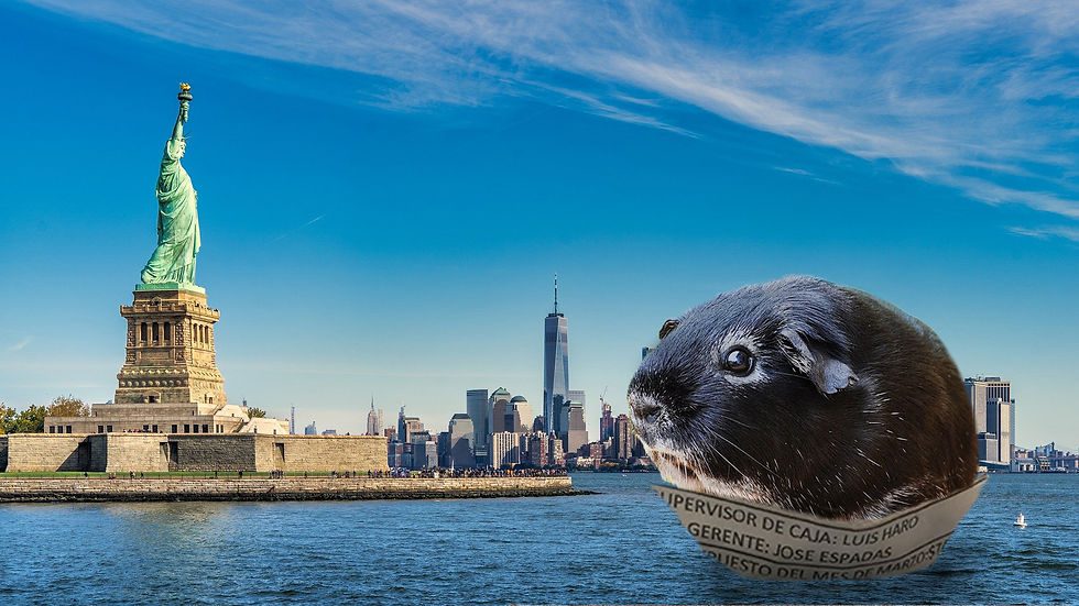 new-york-4756152_1920 (1) copy